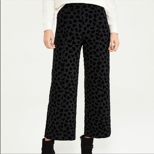 Ann Taylor Size 8 Black pants with black velvet heart print NWT